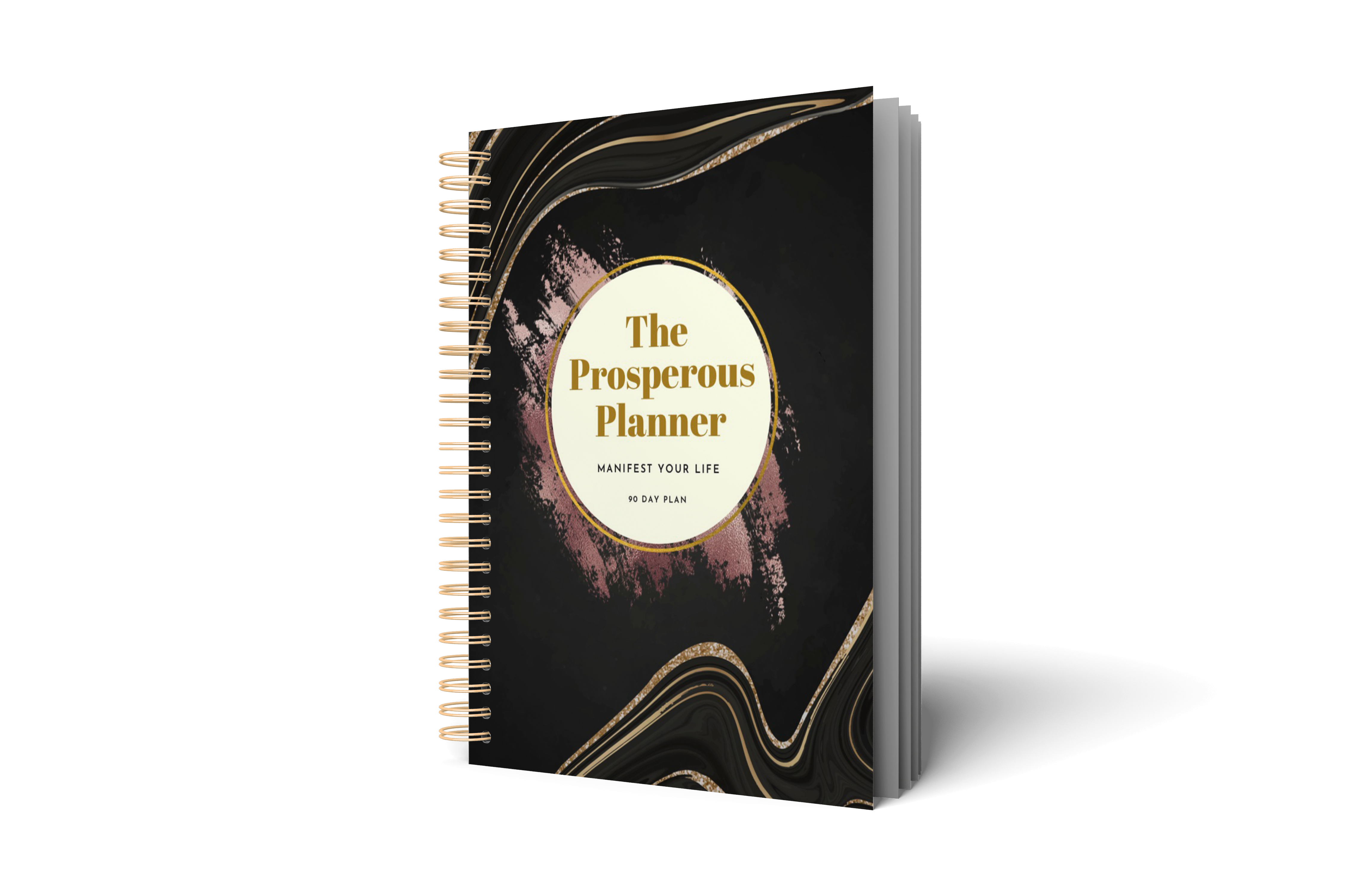 The 90 Day Prosperous Planner