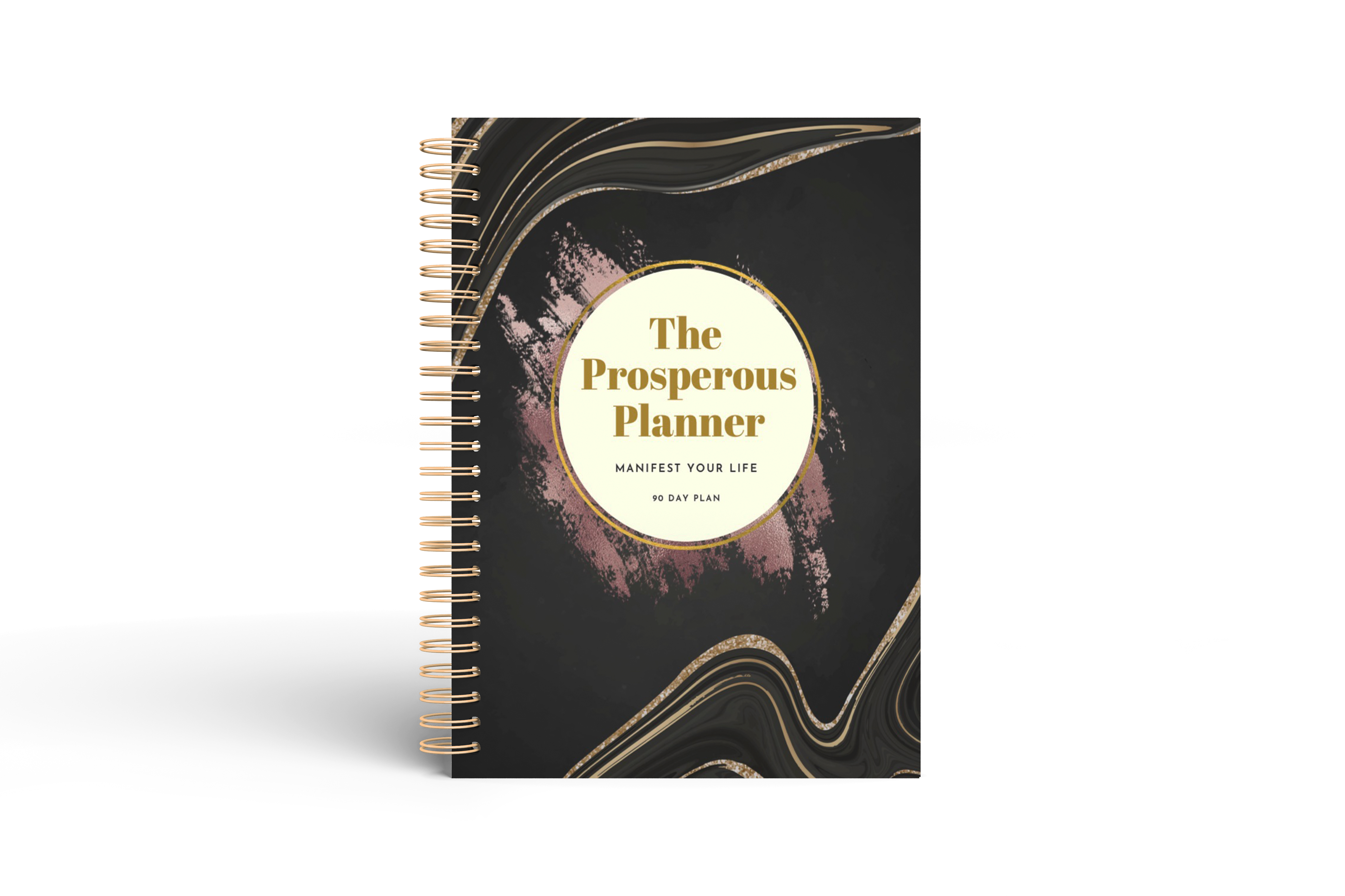 The 90 Day Prosperous Planner