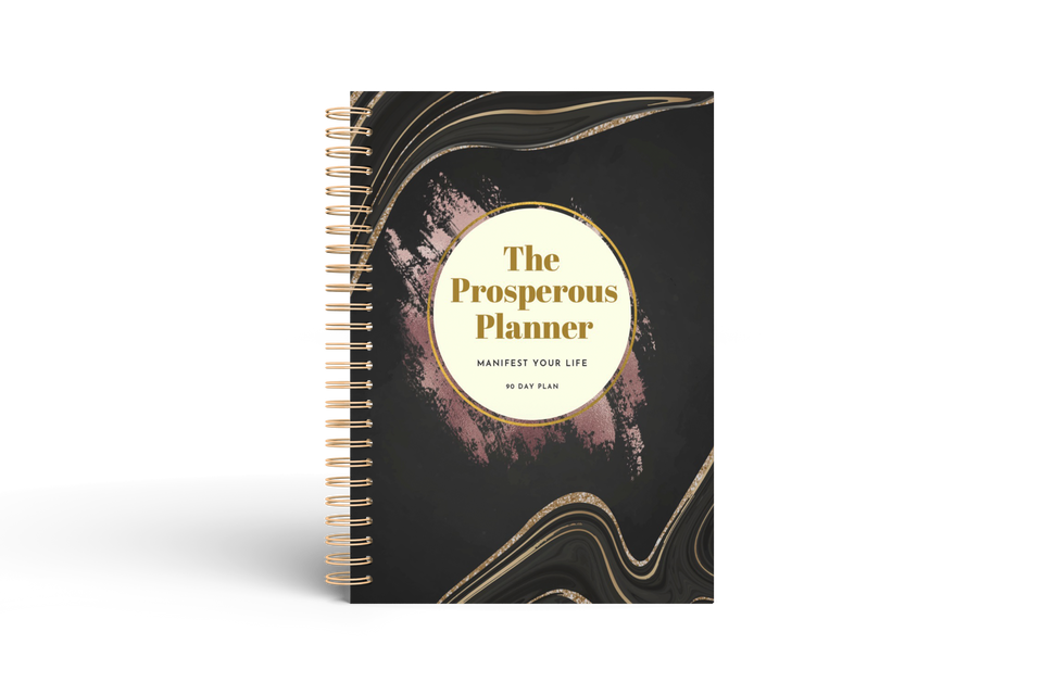 The  90 Day Prosperous Planner