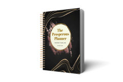 The 90 Day Prosperous Planner