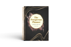 The 90 Day Prosperous Planner